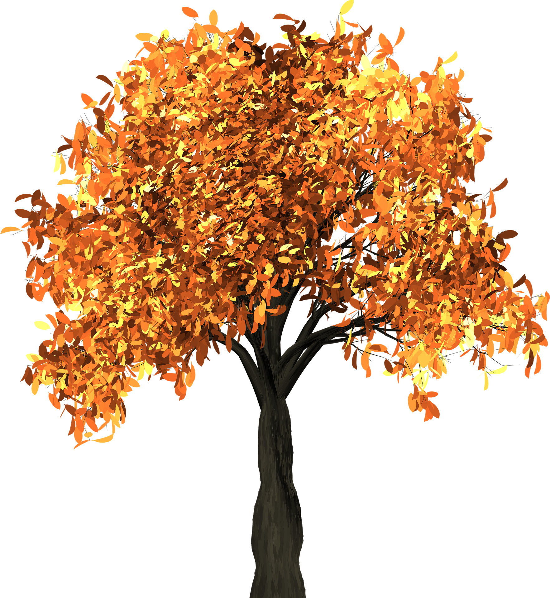 Tree with autumn leaves in orange and yellow