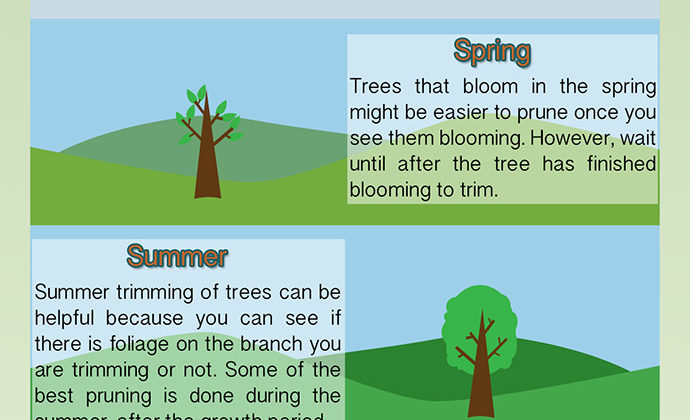 When to trim a tree pruning infographic