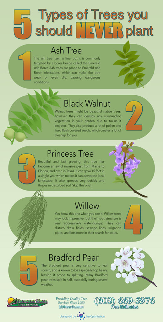 Never plant these 5 trees